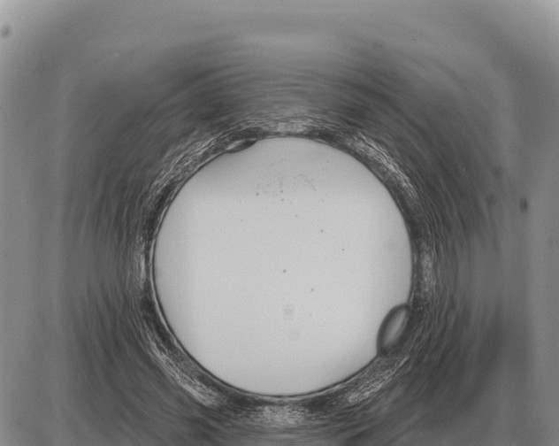 X0000086300541200704271829