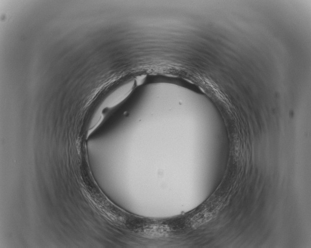 X0000086300543200704271829