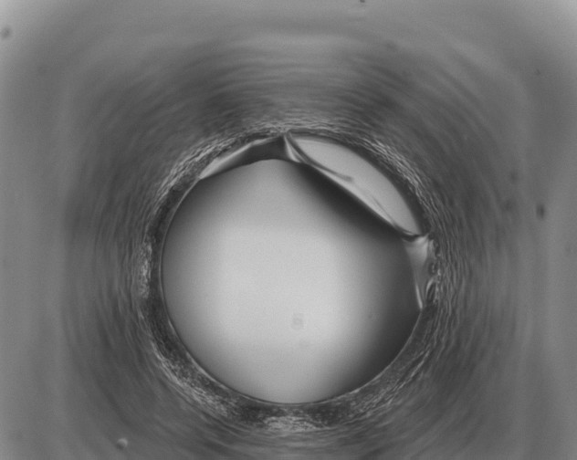 X0000086300544200704271829