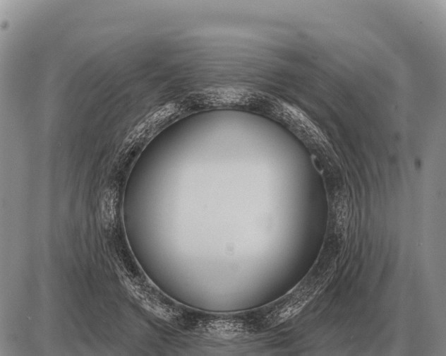 X0000086300546200704271829