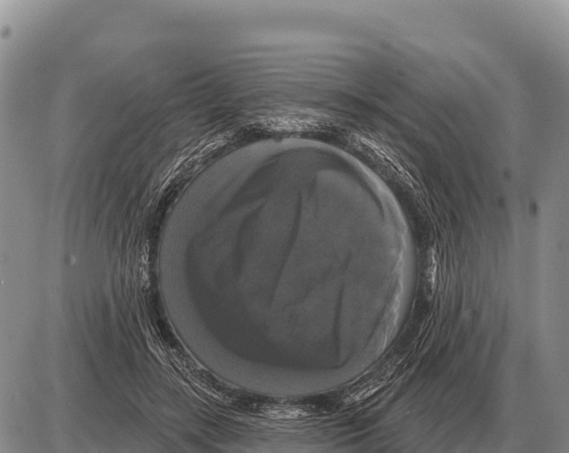 X0000086300547200704271829