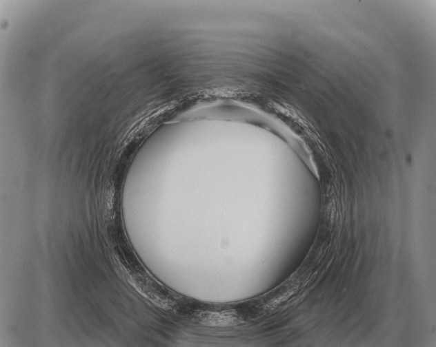 X0000086300548200704271829