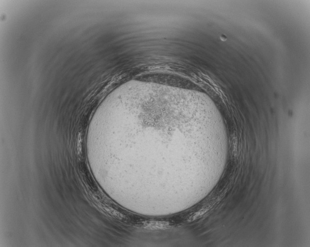 X0000086300549200704271829