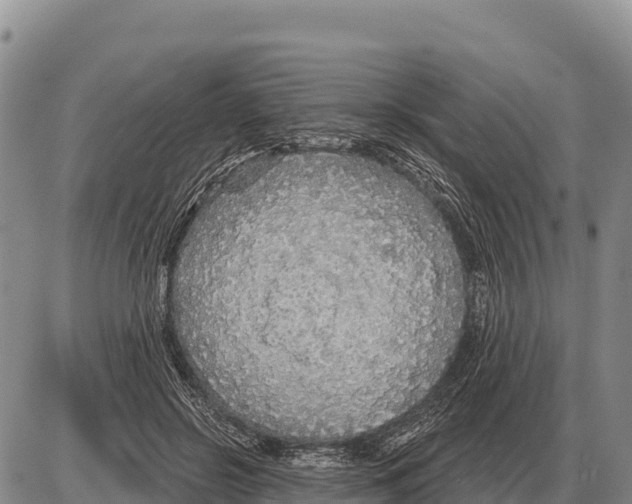 X0000086300550200704271829