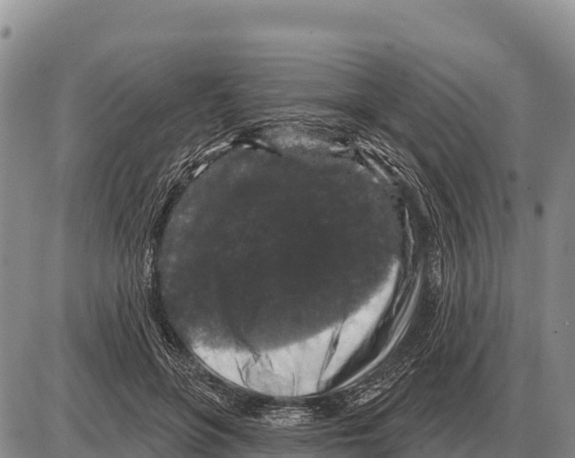 X0000086300551200704271829