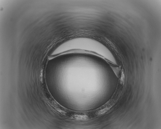 X0000086300552200704271829