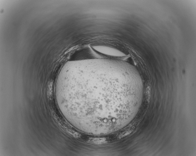 X0000086300554200704271830