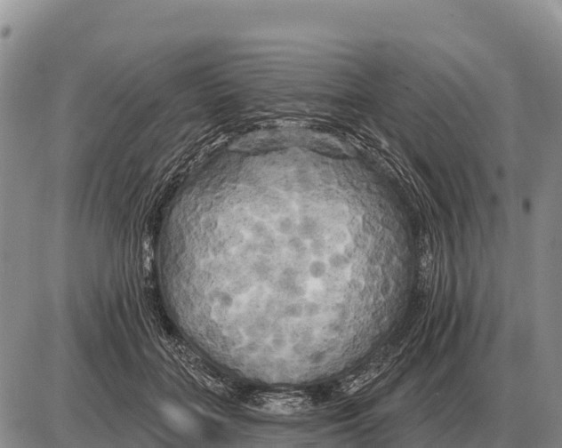 X0000086300555200704271830