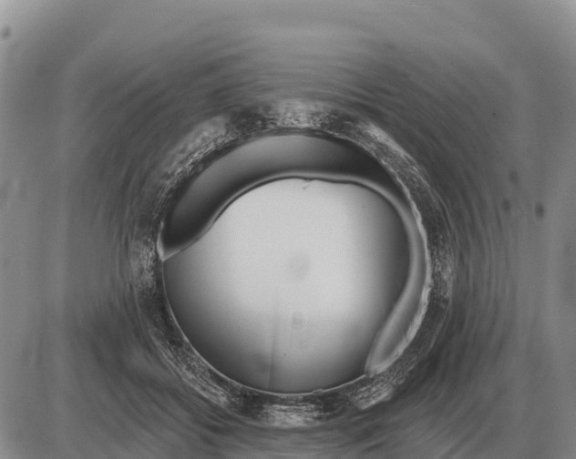 X0000086300556200704271830