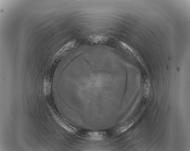 X0000086300558200704271830