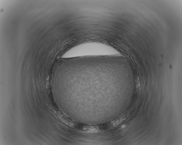 X0000086300559200704271830