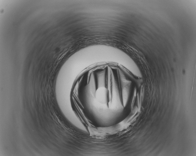 X0000086300560200704271830