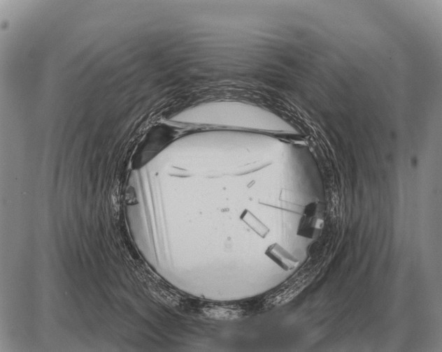 X0000086300561200704271830