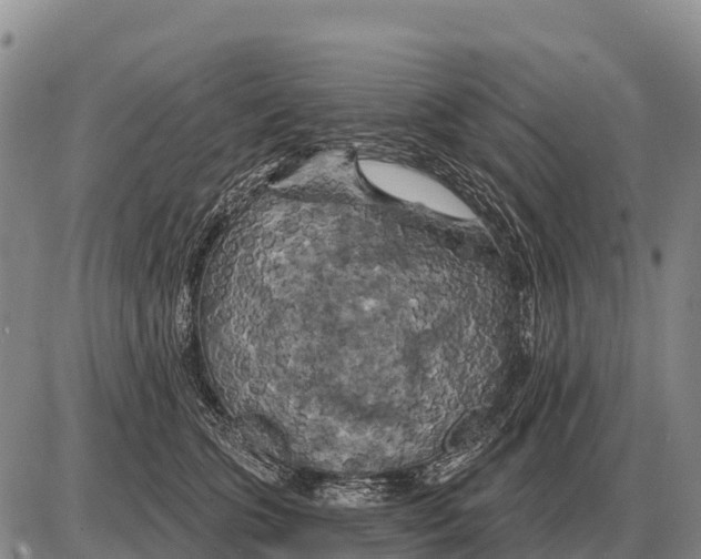 X0000086300563200704271830