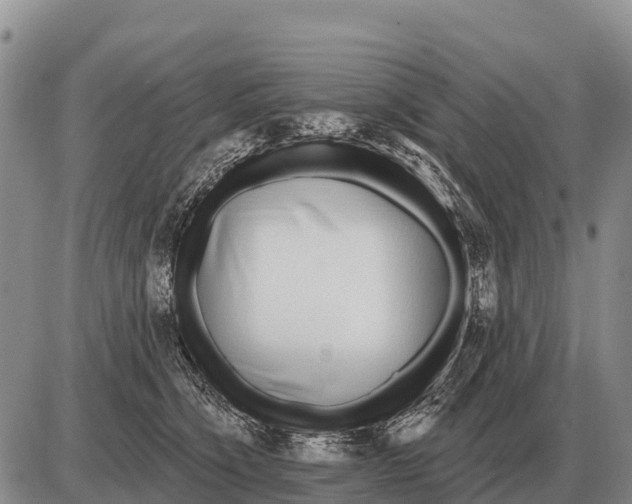 X0000086300564200704271830