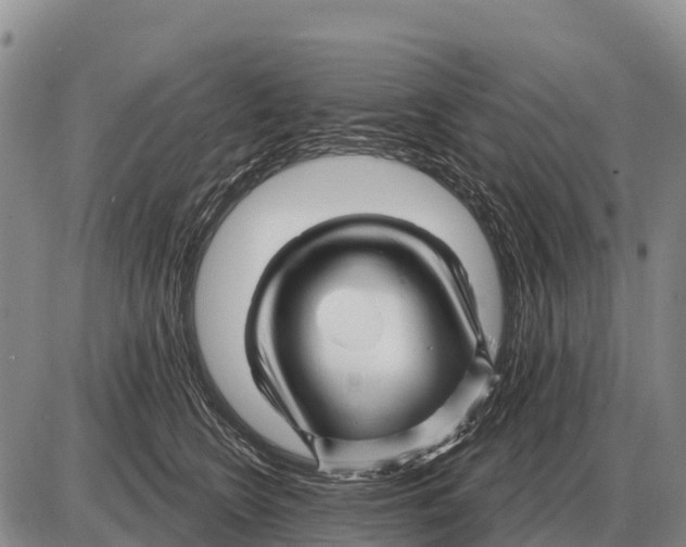 X0000086300566200704271830