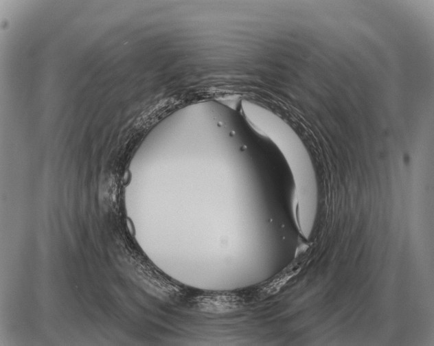 X0000086300567200704271830