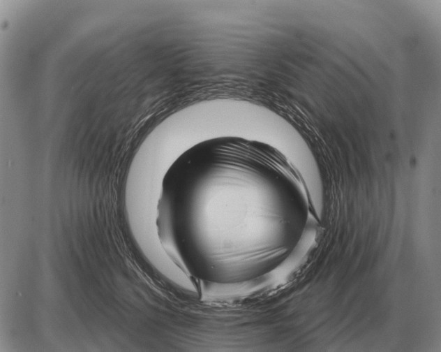 X0000086300568200704271830