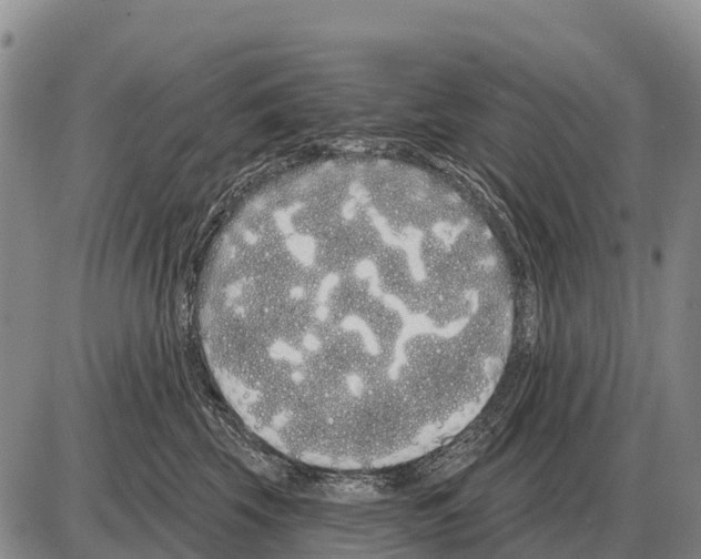 X0000086300569200704271830