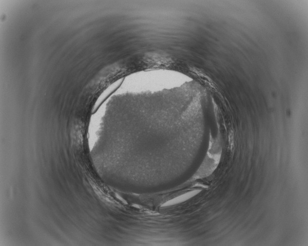 X0000086300570200704271830