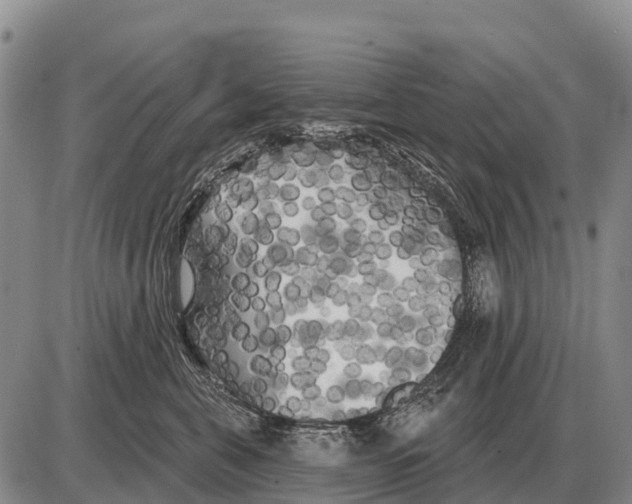 X0000086300571200704271830