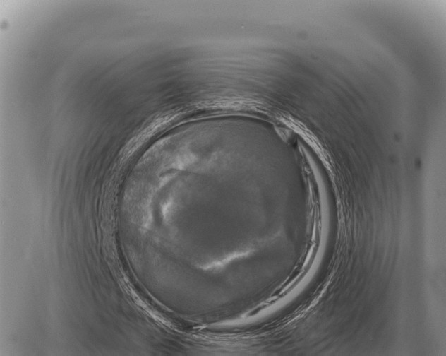 X0000086300577200704271829