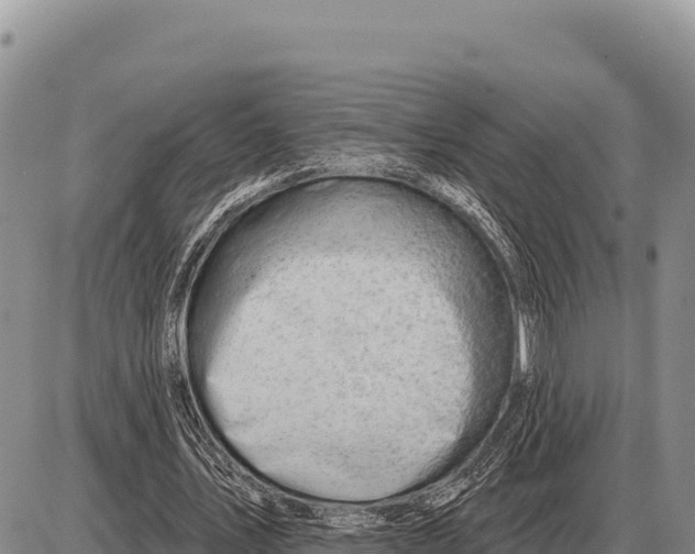 X0000086300579200704271829