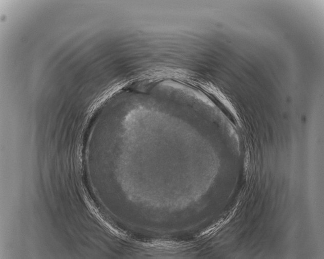 X0000086300581200704271829