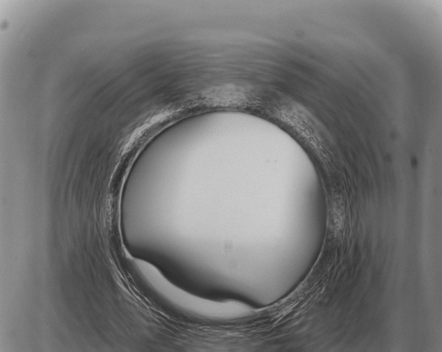 X0000086300583200704271829