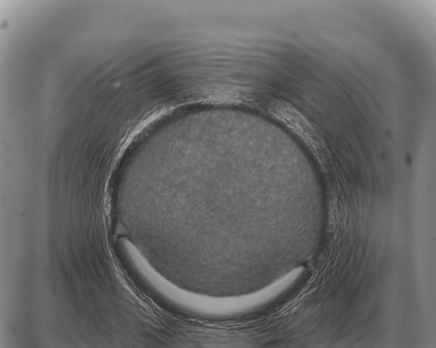 X0000086300584200704271829