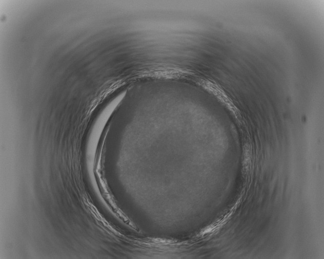 X0000086300585200704271829