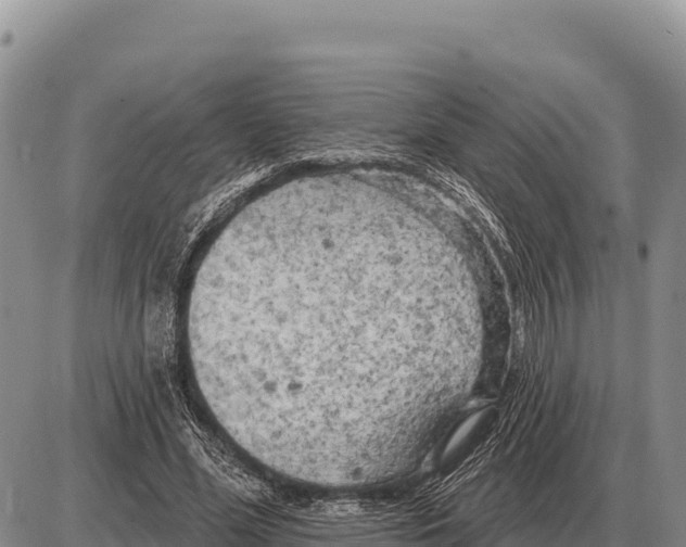 X0000086300588200704271829