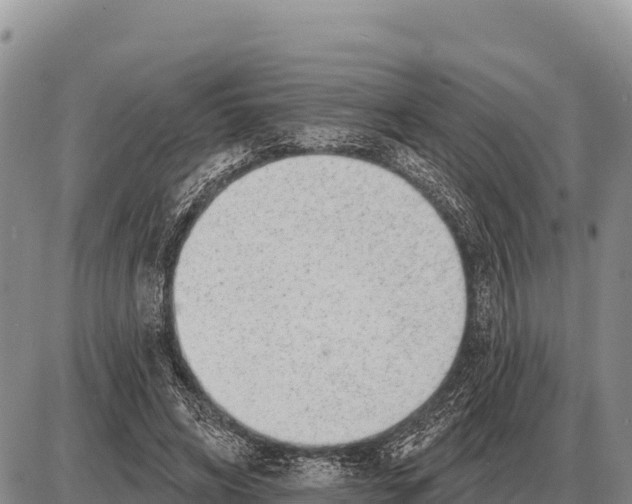 X0000086300592200704271829