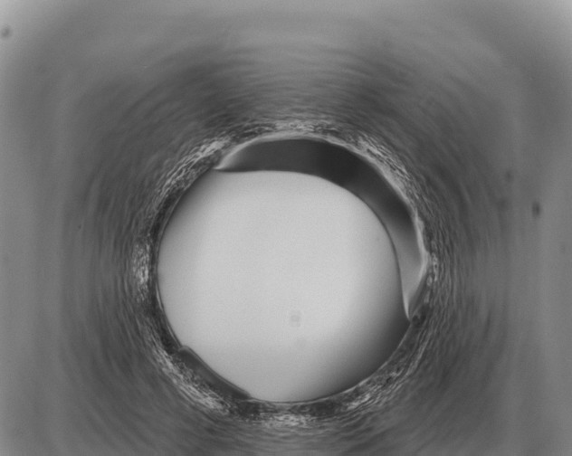 X0000086300593200704271829