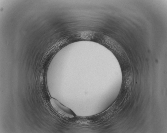 X0000086300595200704271829