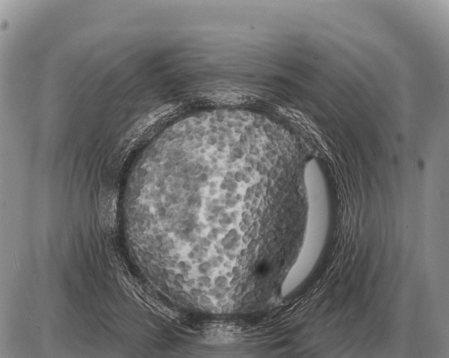 X0000086300596200704271829