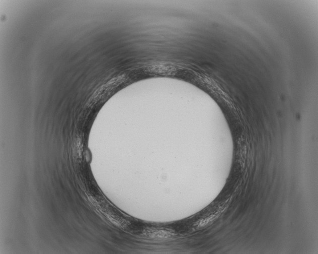 X0000086300597200704271829