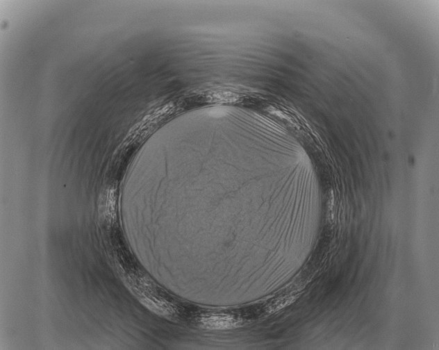 X0000086300598200704271829