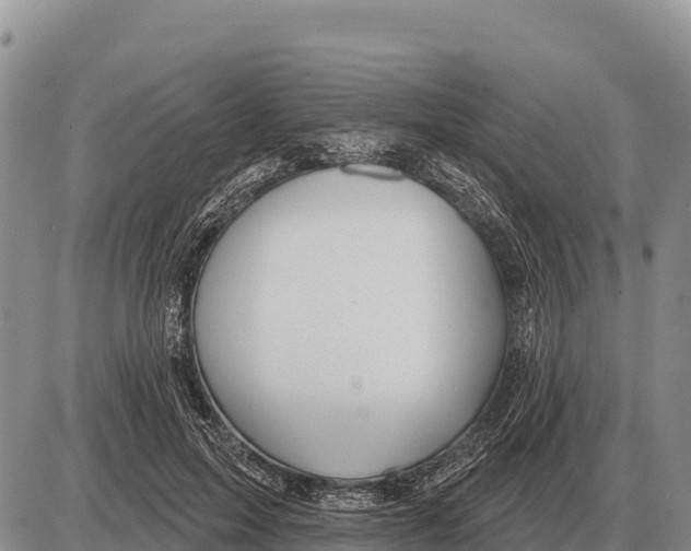 X0000086300599200704271829