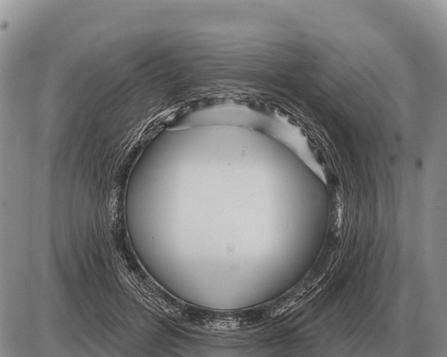 X0000086300600200704271829