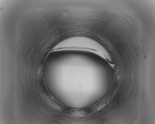 X0000086300601200704271829