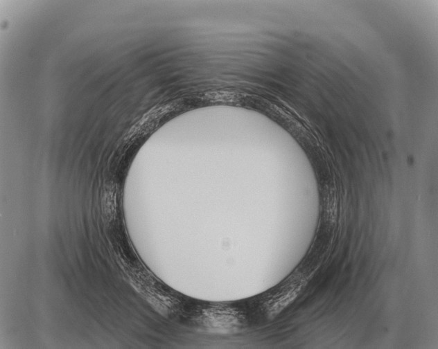 X0000086300603200704271829