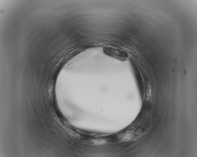 X0000086300604200704271829