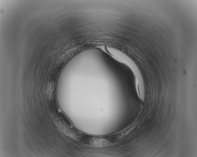 X0000086300605200704271829