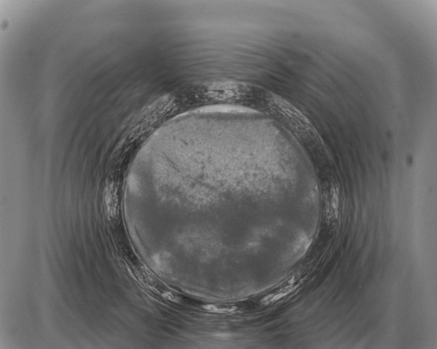 X0000086300606200704271829