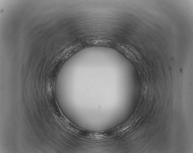 X0000086300607200704271829