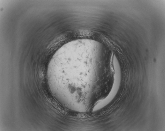 X0000086300608200704271829