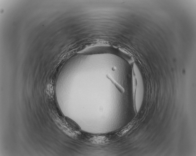 X0000086300609200704271829