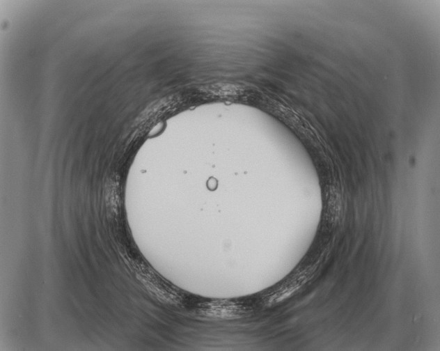 X0000086300612200704271829