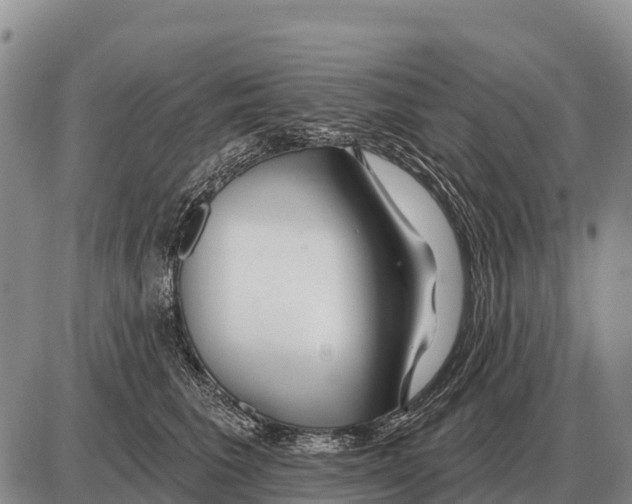 X0000086300613200704271829